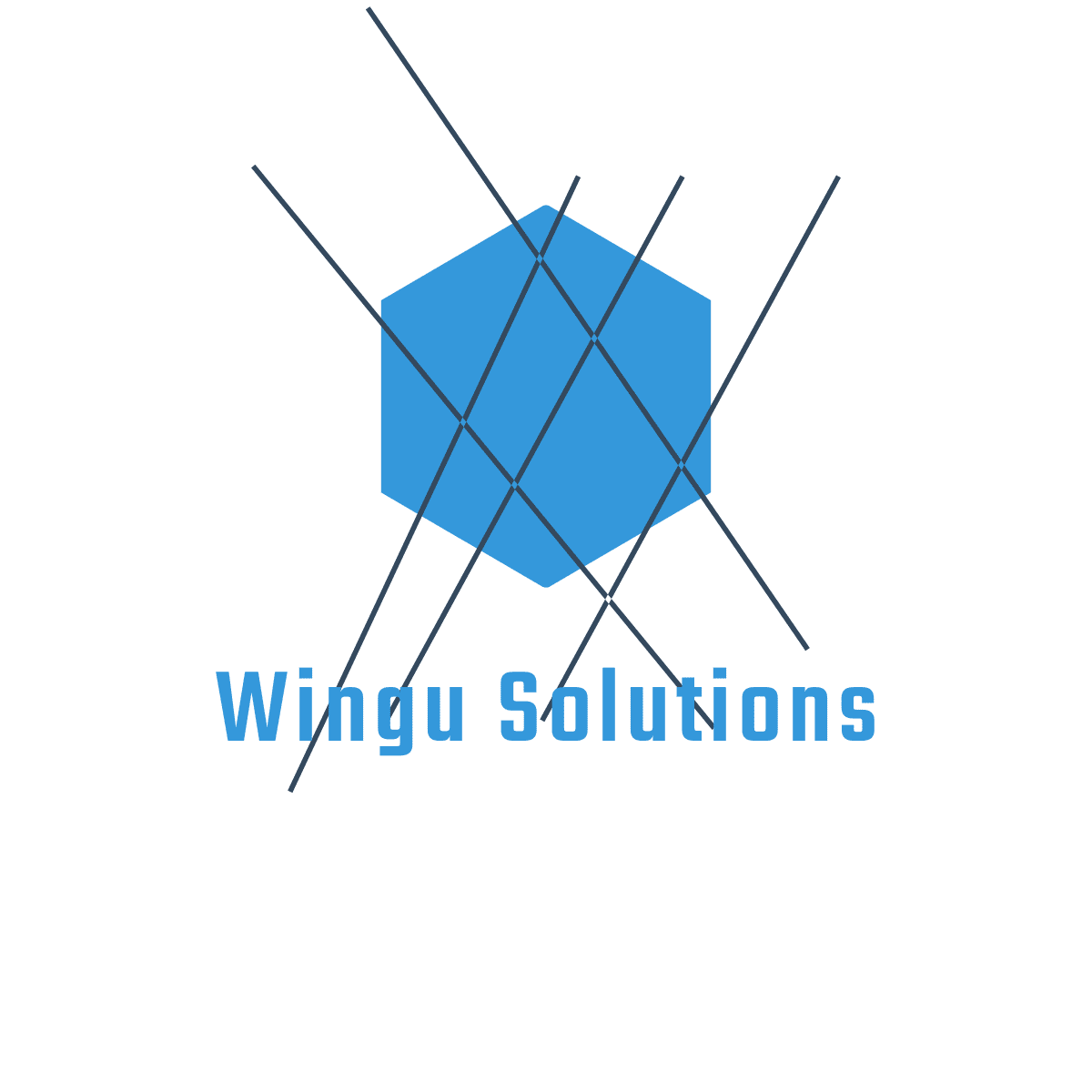 Wingu Solutions logo